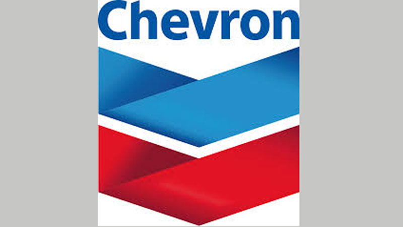 Govt to examine documents