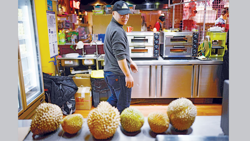 Chinese hunger for ‘world’s smelliest fruit’ threatens Malaysian forests