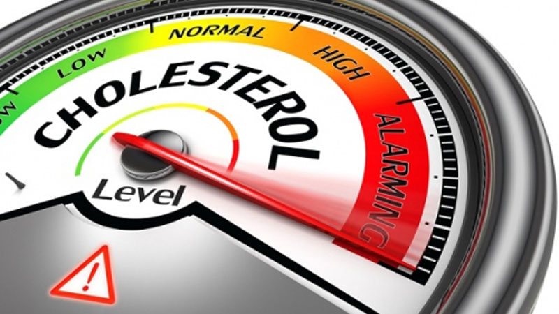 Cholesterol-lowering agent halts prostate cancer