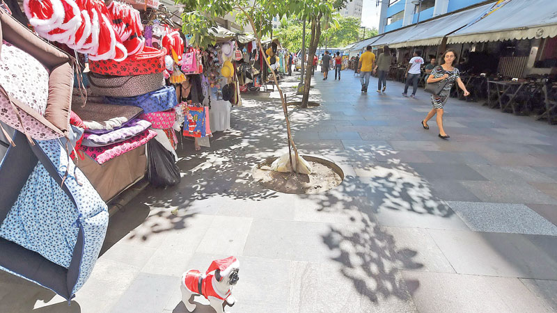 Celebrating Christmas 