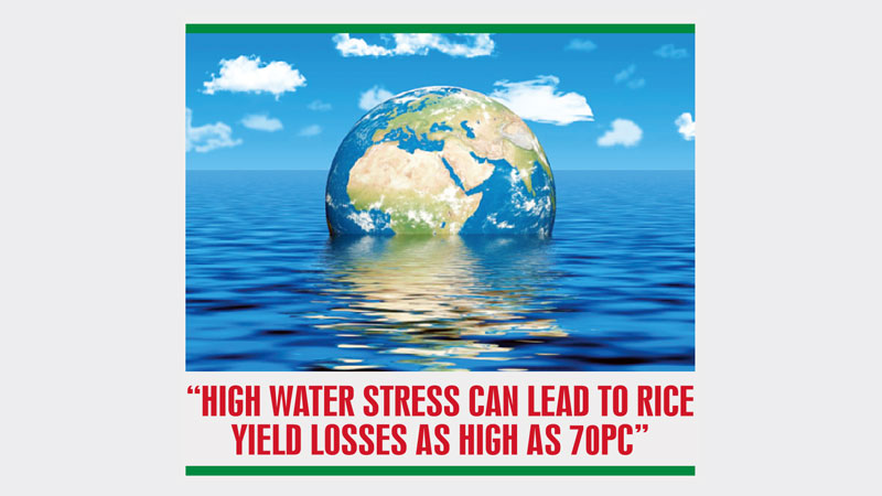 Climate change, sea-level rise serious threat to agri growth 