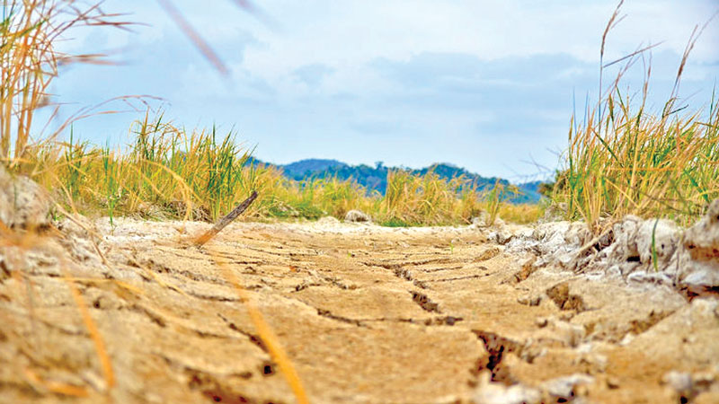 Climate change poses a big threat to agriculture 