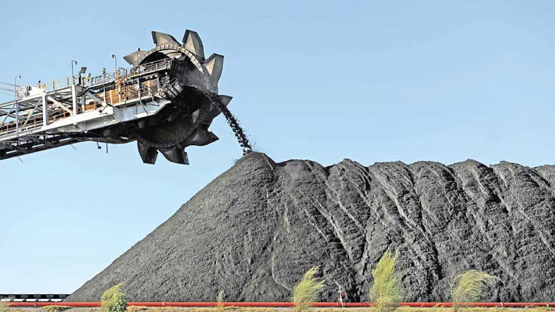 Australias coal city backs green future
