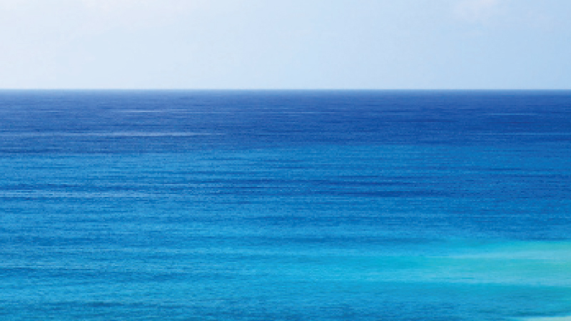 The Curious Case of the Colour Blue