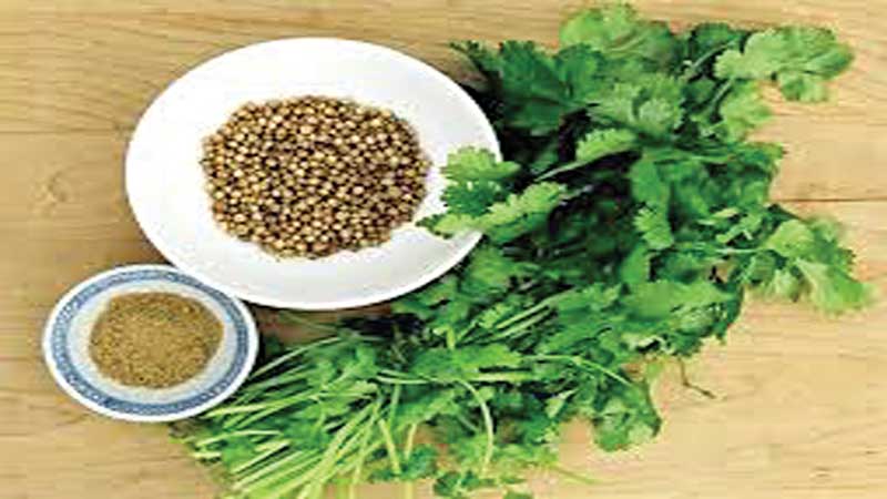 Health benefits of coriander