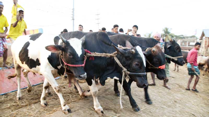 All about Eid-ul-Azha