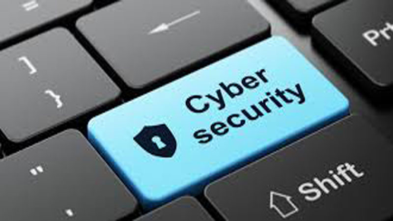 Cyber security at a snail�s pace