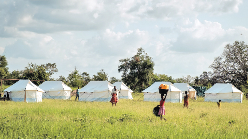 Cyclone-ravaged  Mozambique reports cholera cases