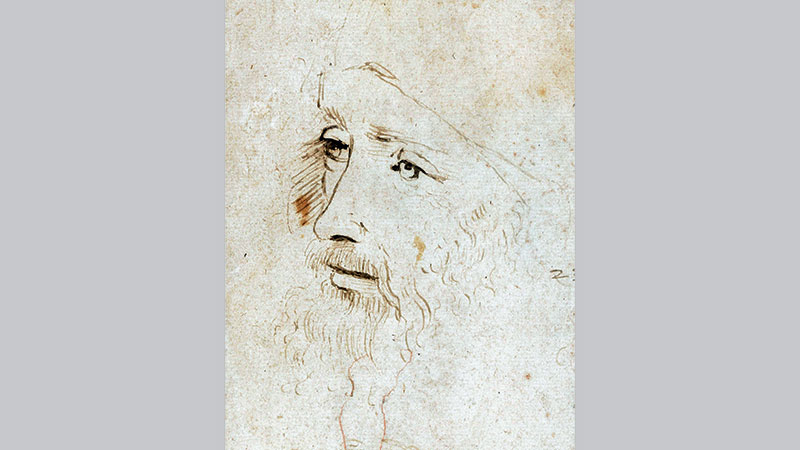 Newly-identified Da Vinci portrait on show