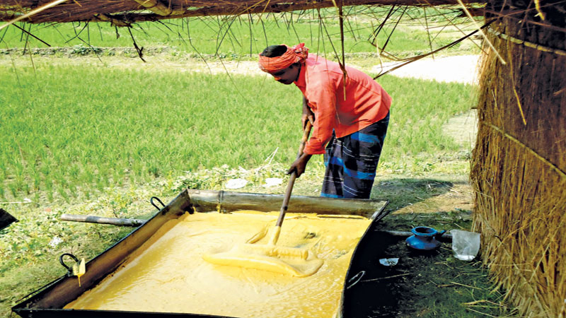 Date molasses adulteration rampant in Sirajganj