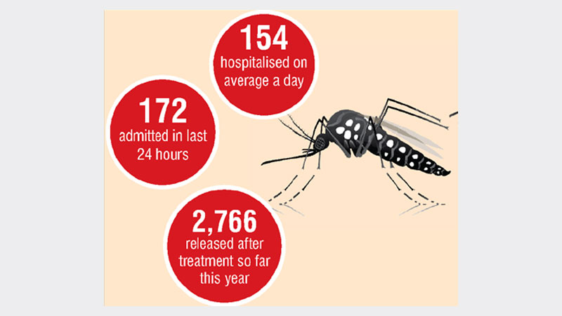 Dengue turns dangerous in Dhaka