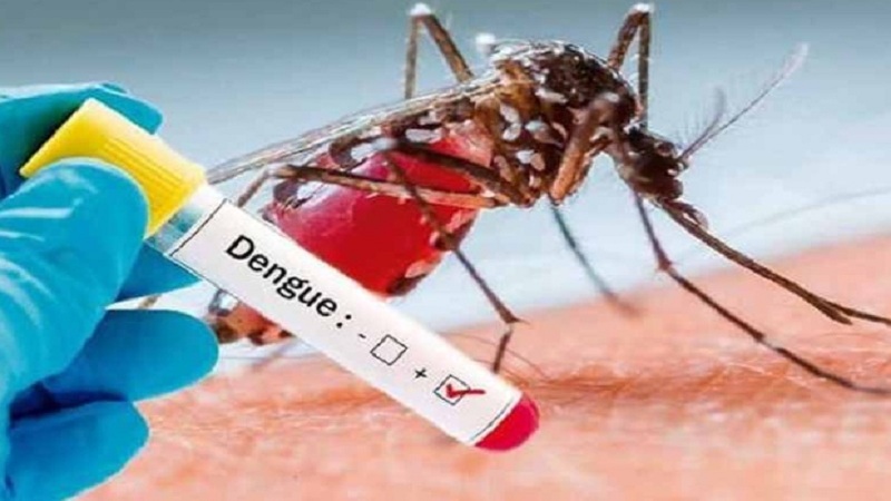 Dengue