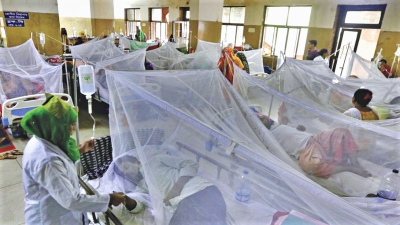 Dengue: Record 343 patients hospitalized, no new death reported in 24 hrs