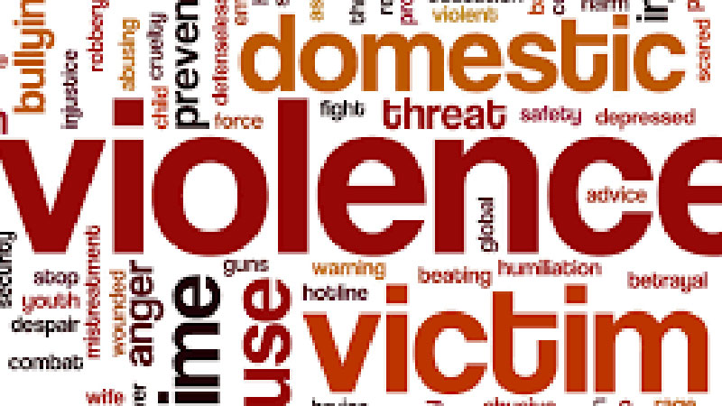 Domestic violence a form of arbitrary execution: UN expert