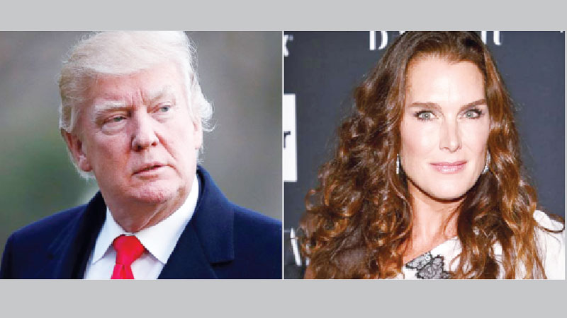 Brooke Shields says she once turned Donald Trump down for a date