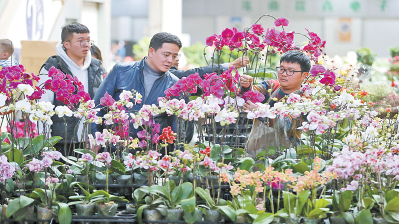 IPR protection benefits Yunnan flower growers