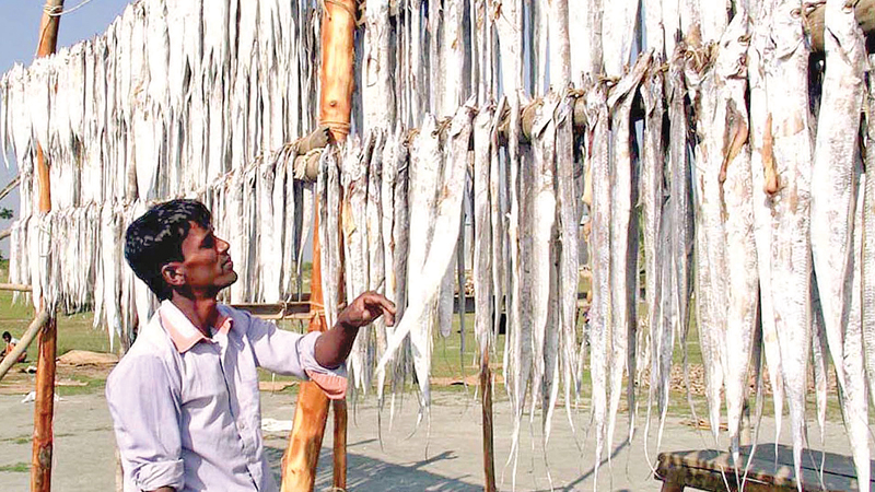 Dry fish gains popularity abroad