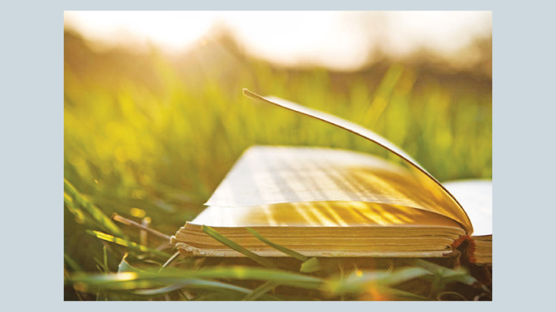 5 Reasons Physical Books Might Be Better Than E-Books