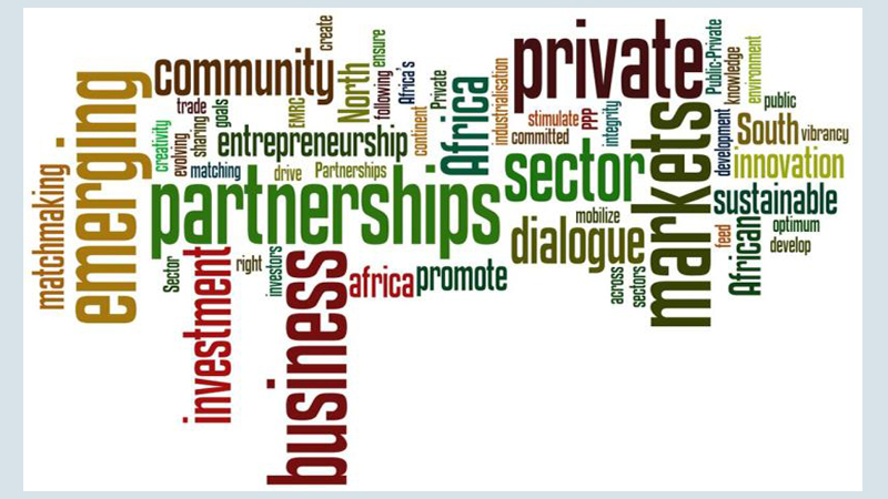 Ensure partnership with private sector, civil society, NGOs