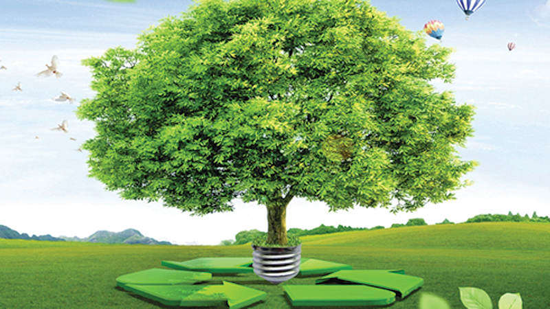 Experts underscore green growth agenda