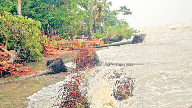 Erosion eats away charms of Kuakata