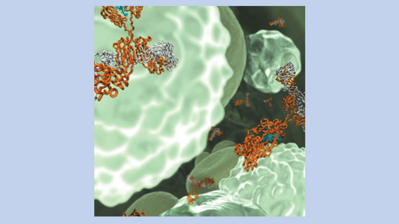 FDA approves Evenity (romosozumab-aqqg) 