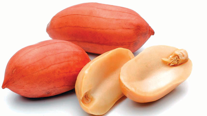 Experimental 
injection  may protect against peanut allergy 
