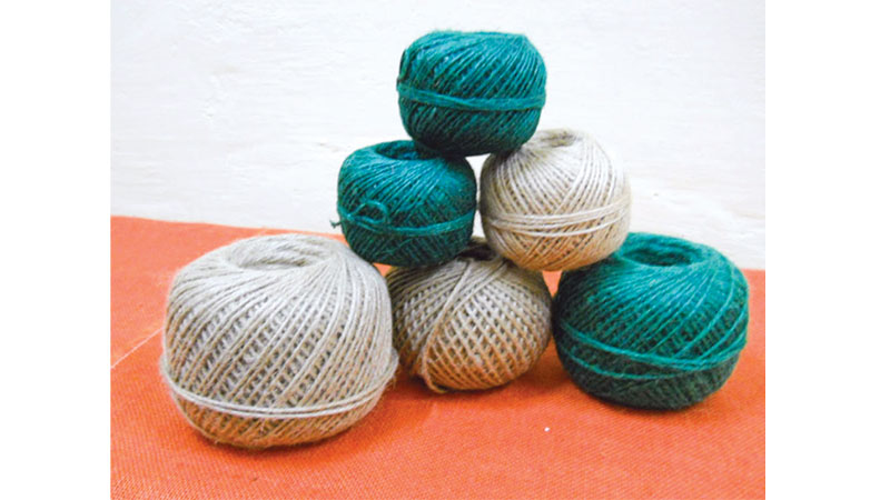 Exports of jute, jute goods  show steady growth