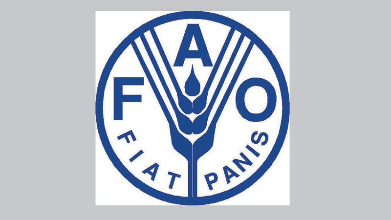 FAO alarmed by ‘overlooked’ 
emergency in Bangladesh
