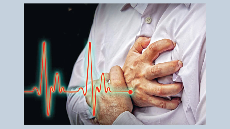 Facts about heart rate