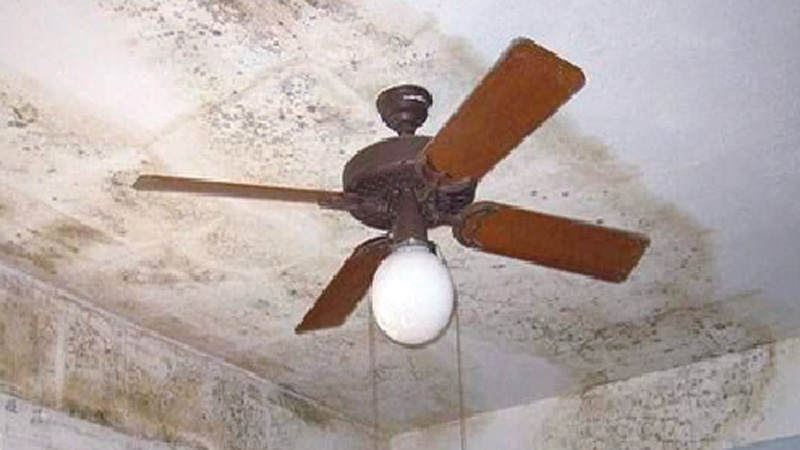 Remove mold naturally