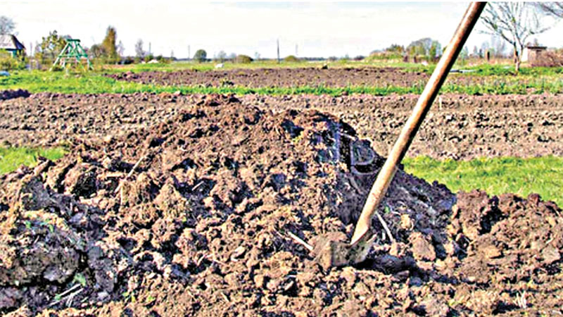 High time to opt for safe farming
