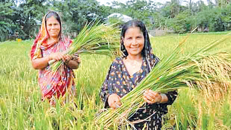 Female farm labourers  seek wage parity