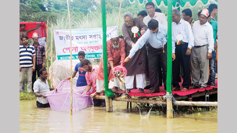 Call to preserve extinct, indigenous fish species