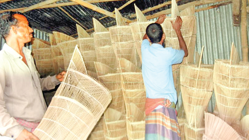 Fishing traps: Source of livelihood in Faridpur