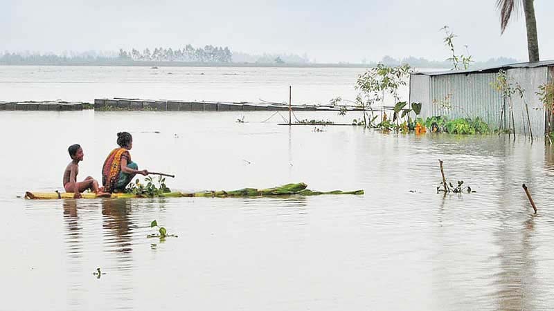 Floods destroy crops on 10,000 hectares: DAE