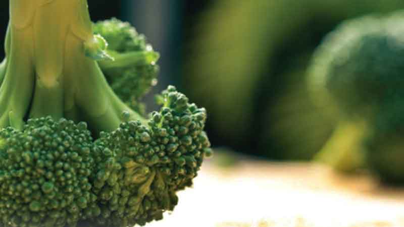 6 Foods that balance your hormones naturally for younger-looking skin