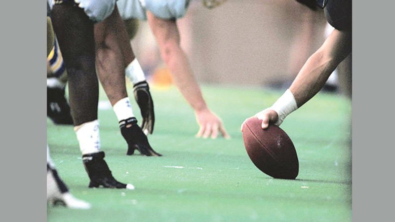 Football fans still loyal despite concerns about players' brains
