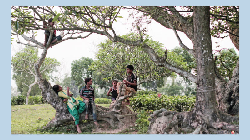 Screening of ‘Garden of Memories’ at Goethe-Institut tomorrow