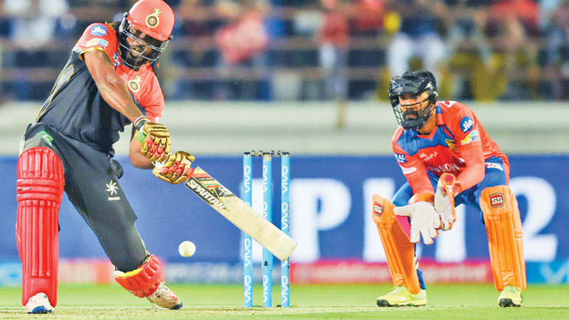 Gayle first to hit 10,000 Twenty20 runs