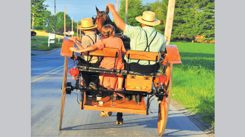 Genetic mutation in Amish community
