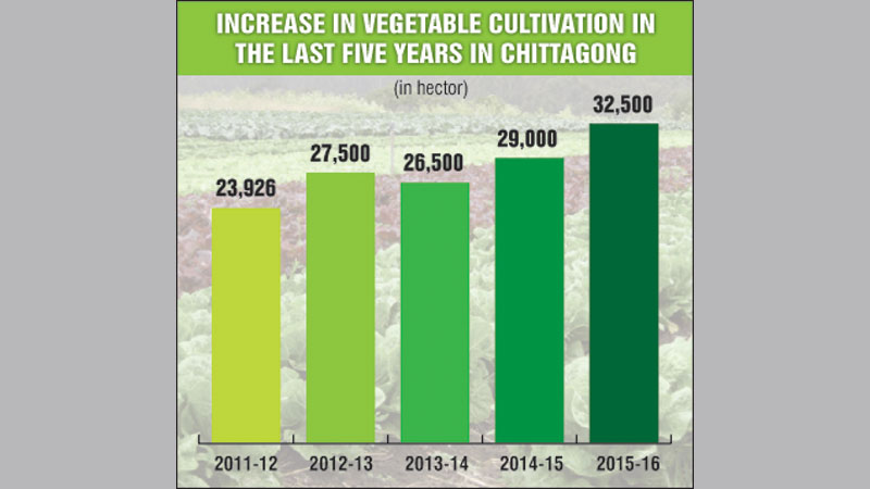 Ctg farmers turn to vegetable cultivation