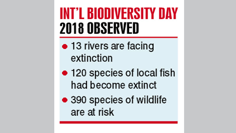 Green brigade raises red flag over dying rivers