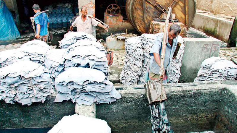 Govt to stop rawhide entry in Hazaribagh from April 1