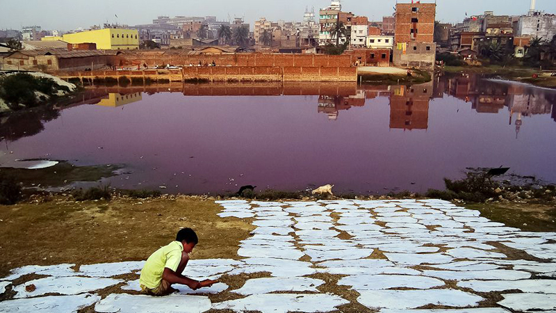 Ban on raw hide entry to Hazaribagh enforced 
