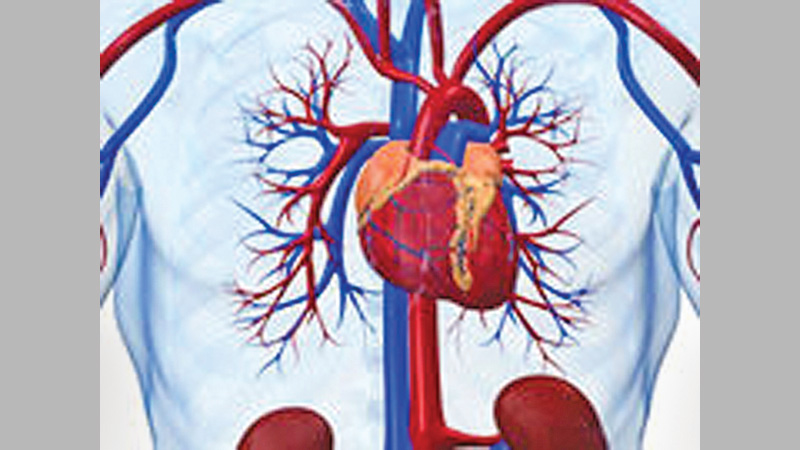Heart attack test �cuts hospital stays�