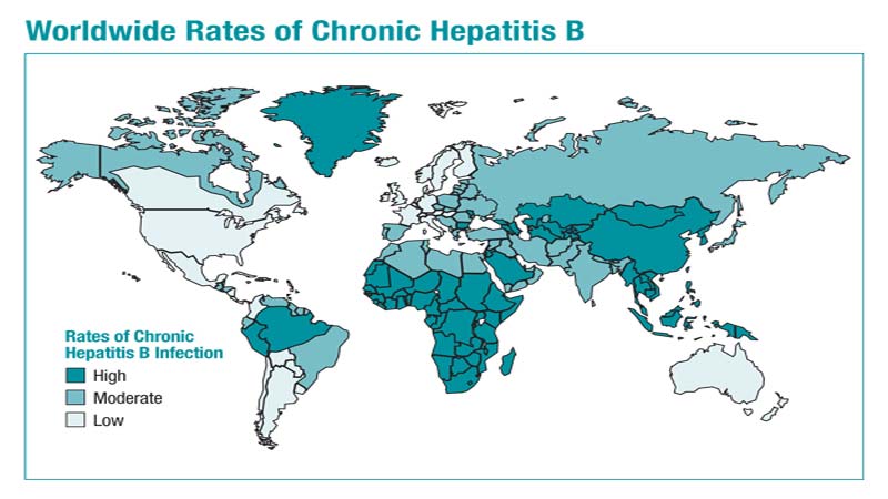 Hepatitis affects 500m people  globally: WHO