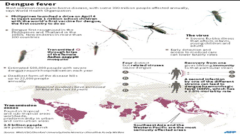 Take the dengue 
alarm seriously