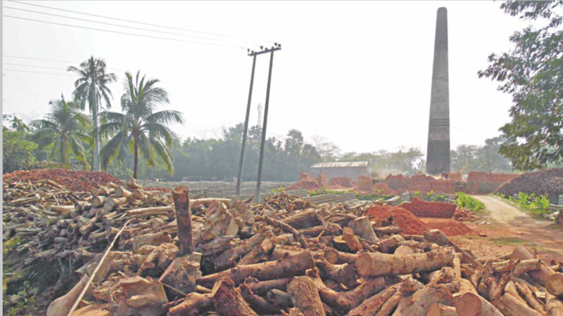 Illegal brick kilns cause severe pollution 