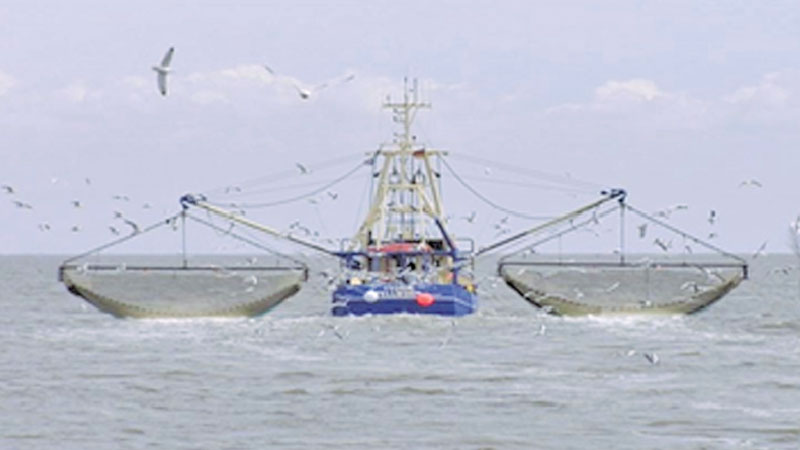 Incorporation of blue economy action plan in the 8th five-year plan